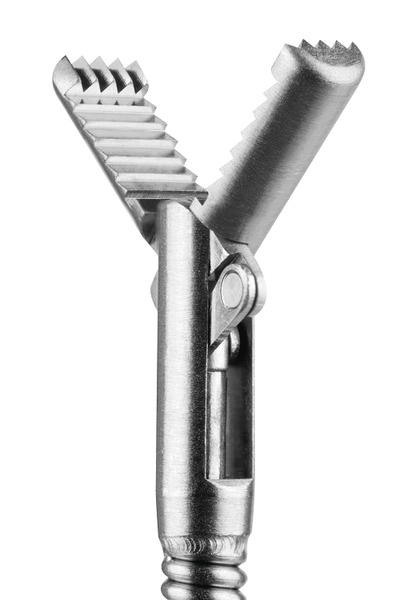 [DK]Fremmedlegemetang til EickView 100E, oprejst 1